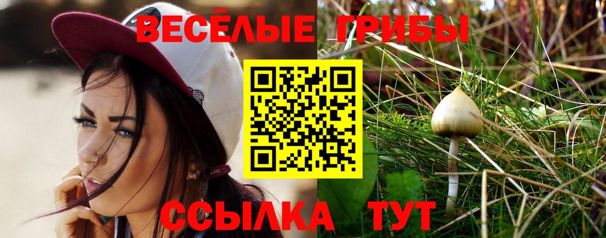 Галлюциногенные грибы мицелий Елец